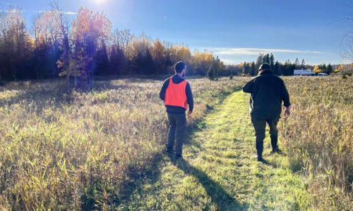 BIPOC-led nature retreat taking shape on Minnesota’s North Shore