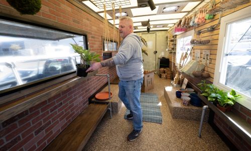 Cheese curds, beer and … houseplants? A mobile plant shop’s debut at Kickoff to Summer at the Fair