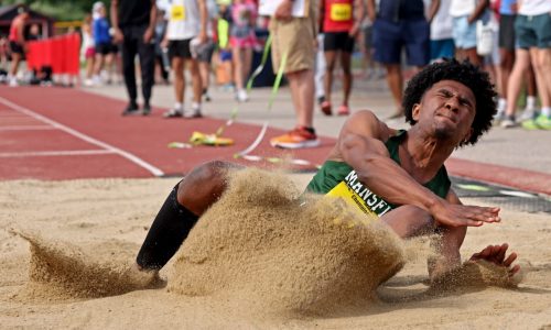 Division 3 state track: Walpole boys run away with title