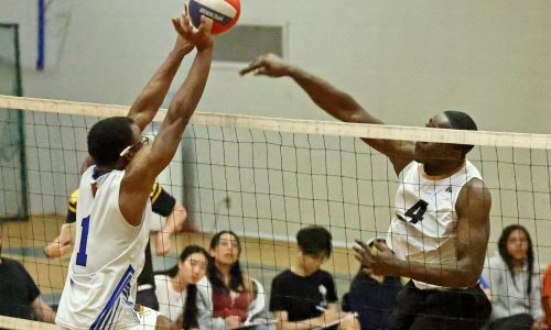 MIAA statewide boys volleyball tournament pairings