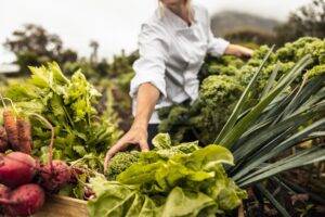 Food Price Rises Returning to Normal, Says Kantar