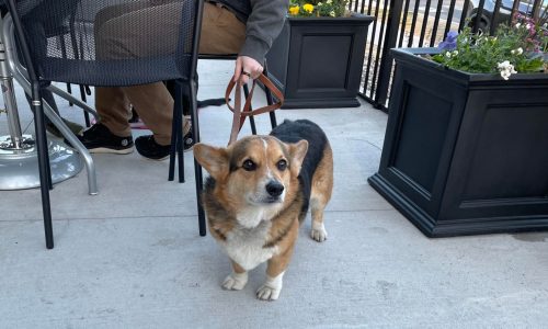 Here are readers’ picks for 2024’s best patios