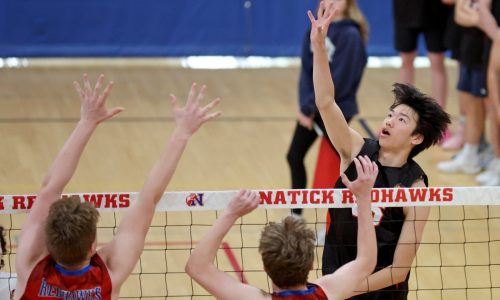 Tom Mulherin’s volleyball tournament preview and picks