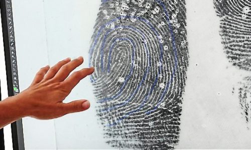 Stephen L. Carter: Crime labs are drowning in work. That hurts us all