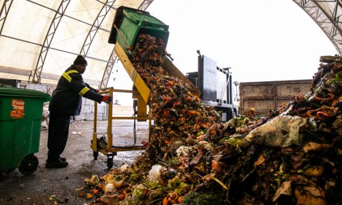 Bill Seeks to Boost NYC’s Composting Capacity With More Borough-Based Sites