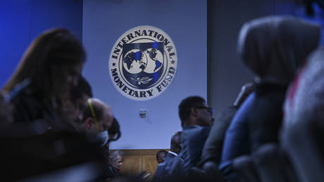 IMF comments on handing over Russian assets to Ukraine