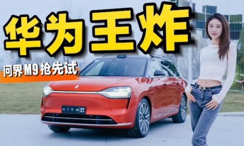 China  wholesales May 2024: AITO, NIO, Zeekr break records