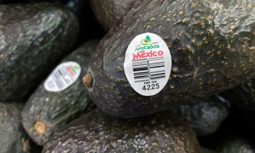 Avocado inspectors assaulted in Mexico 