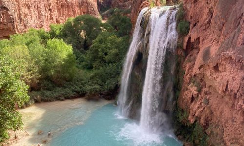 Dozens of hikers became ill during trips to waterfalls near the Grand Canyon