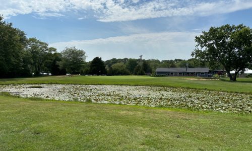 Tee Thursday: Marshfield’s Green Harbor like an old friend