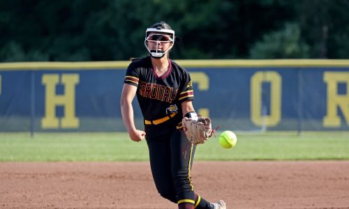 Case freshman Lila Alvarez throws gem in 2-0 state semifinal victory