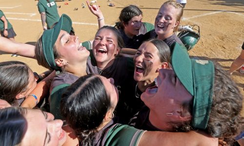 Dighton-Rehoboth takes Division 3 softball title in dramatic fashion