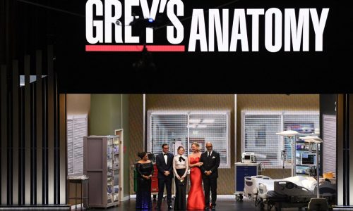 Call it ‘McStreamy’: After 20 seasons, ‘Grey’s Anatomy’ is a hit on Netflix and Hulu