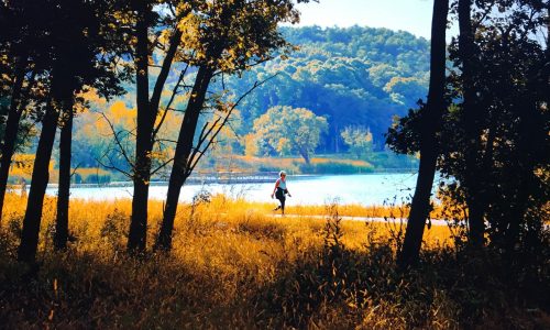 Cottage Grove park hosts inclusive bird-watching event Sunday