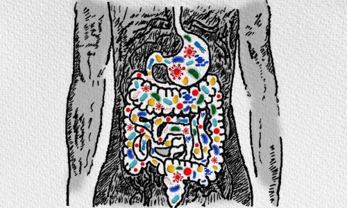 Antibiotics wreak havoc on the gut. Can we kill the bad bugs and spare the good ones?