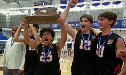 Boys volleyball year-ender: Newton North new top dogs