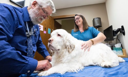 ‘If it fits through the front door, we’ll work on it.’ Longtime Lake Elmo veterinarian retires after 52 years.