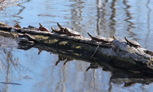 Sunday Bulletin Board: There’s nothing like hitting that first home run!