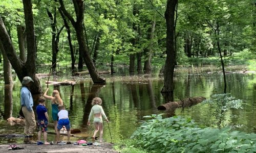 Mississippi River enters top ten recorded crests for St. Paul