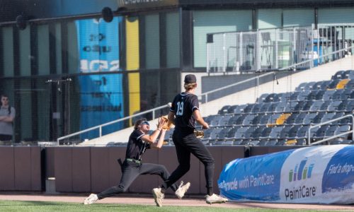 Baseball state title games postponed to Friday