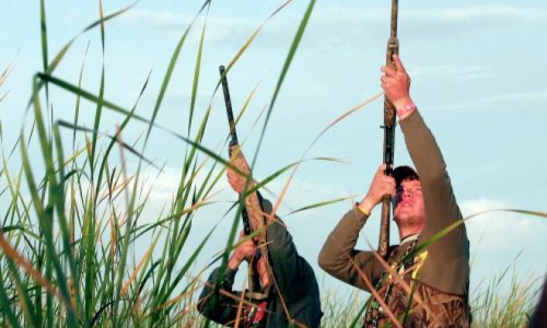 Minnesota, Wisconsin fall hunting seasons set — time to plan ahead