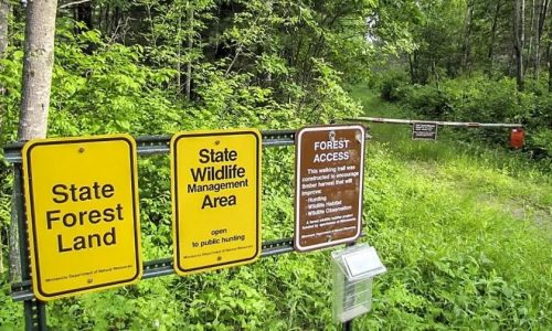 Minnesota DNR Fish and Wildlife director to retire