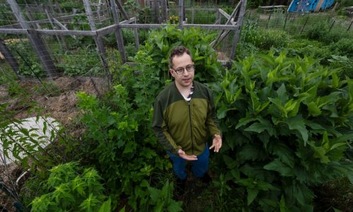 For a St. Paul gardener with high-functioning autism, a Merriam Park community garden has been his home away from home