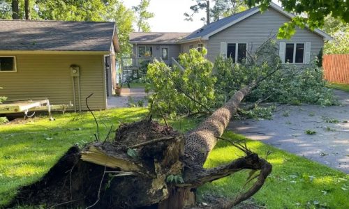 Tornadoes touched down in Minnesota amid Wednesday’s storms, National Weather Service confirms