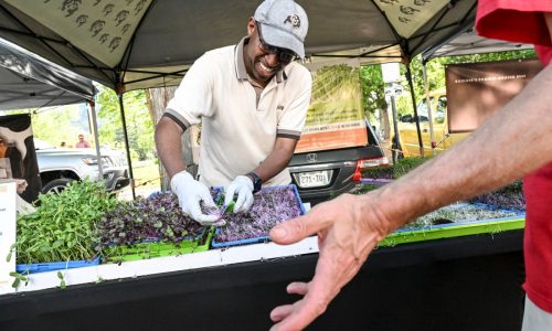 A program funded by soda tax helps low-income residents buy fruits and vegetables