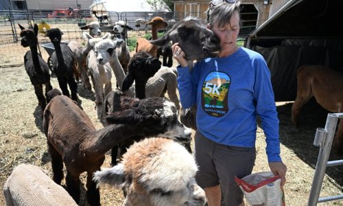 Tired of crowded campgrounds? Colorado company taps businesses to host RV travelers overnight