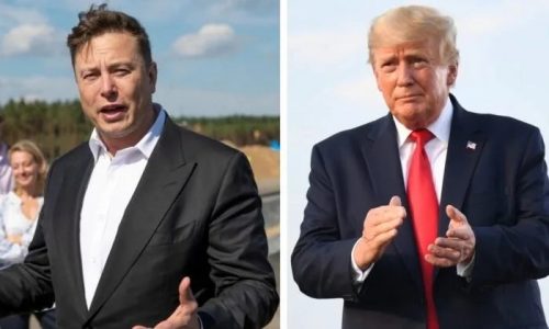 Trump to Take Part in Town Hall on X, Elon Musk Confirms