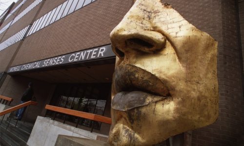 Gross-tasting medications can be a barrier to treatment. Philly researchers developed a ‘bitter blocker’ to help.