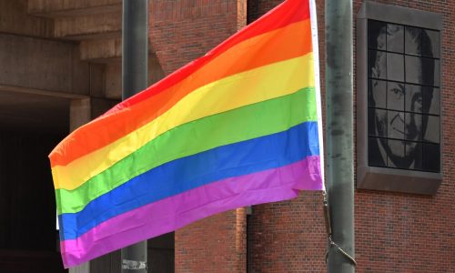 Mass. House plans vote on bill clarifying parenting laws ‘within the month,’ Mariano says