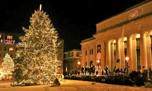 It’s Christmas in July as Union Depot searches for next Hub for the Holidays tree