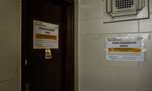 In Brooklyn, Two NYCHA Developments Have a Month to Vote on How to Fund Repairs