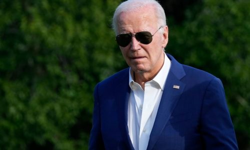 Biden to doubting Democrats: ‘Challenge me at the convention’