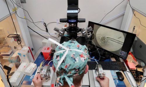 More than 6 in 10 U.S. adults support protecting access to IVF, poll finds