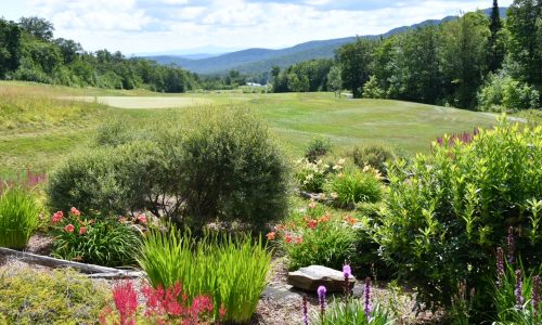 Tee Thursday: A peak experience at Jay Peak