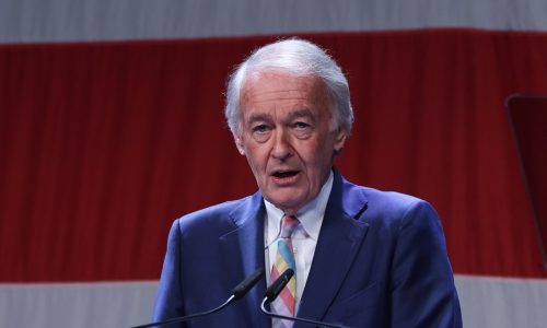 Markey calls for auto data probe