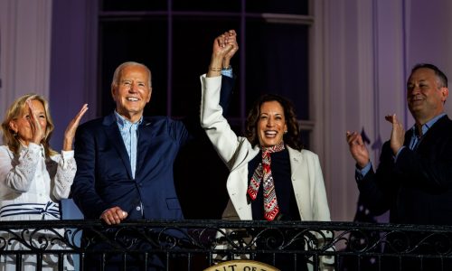 What you need to know about the candidates who could replace Biden on the 2024 ticket