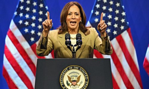 ‘No one tougher,’ VP Kamala Harris’s supporters say as she looks to presidential campaign