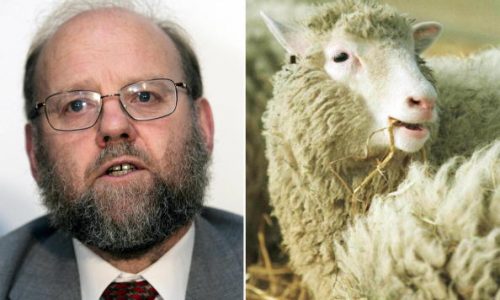 Today in History: July 5, Dolly the sheep marks cloning breakthrough