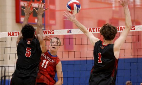 Boys volleyball All-Scholastics and league All-Stars