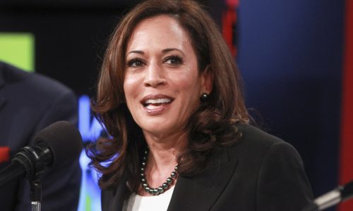 Massachusetts Democratic Committee votes to endorse Kamala Harris for president