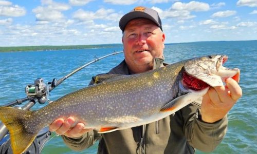 DNA confirms big Lake Superior fish was splake, not record brook trout