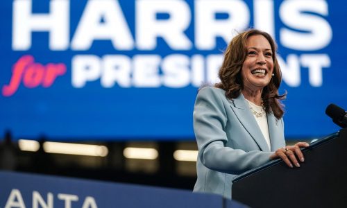 Black women, white dudes, crazy cat ladies: Identity groups fuel a groundswell for Harris