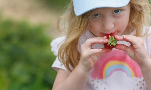 Savoring summer sweets