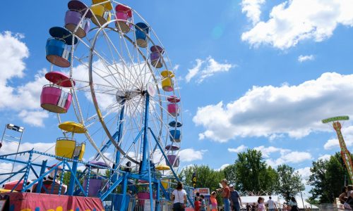 Free weddings offered at Dakota, Goodhue, McCleod county fairs