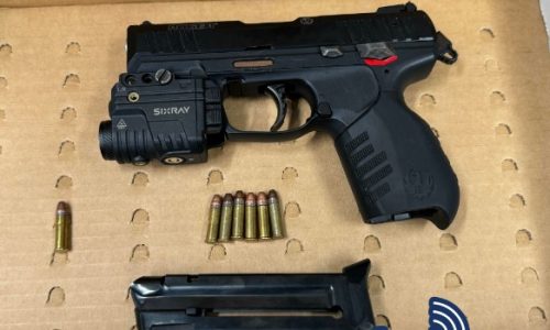 Two teens arrested, firearm recovered at Roxbury basketball tournament