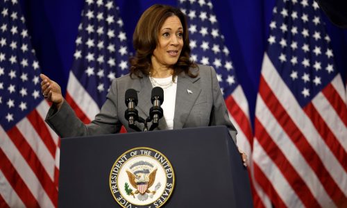 Flustered Democrats turn to Kamala Harris to rescue party’s presidential hopes